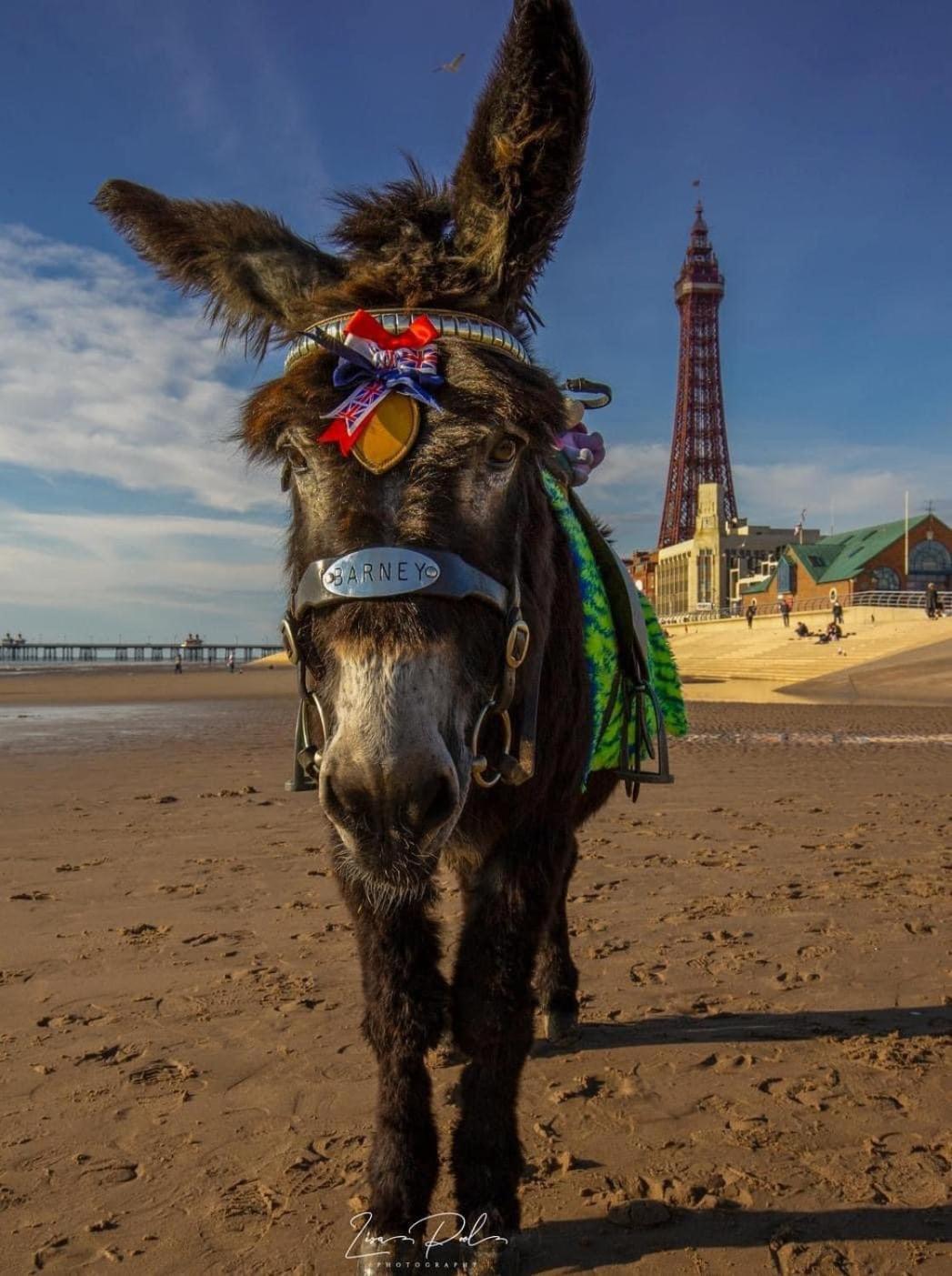 The Bailey Hotel Blackpool (Adults Only) Kültér fotó